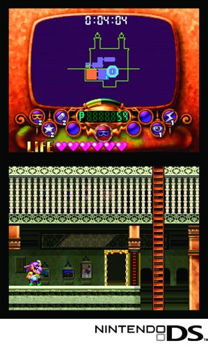 Wario: Master of Disguise [Nintendo DS DSi] Nintendo DS DSi Video Game Nintendo   