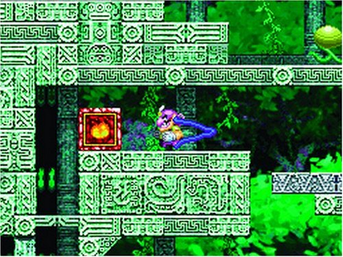 Wario: Master of Disguise [Nintendo DS DSi] Nintendo DS DSi Video Game Nintendo   