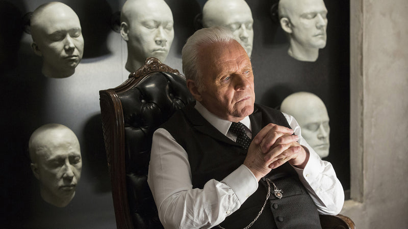 Westworld: Season One - The Maze [DVD Box Set] DVDs & Blu-Rays Warner Bros.   