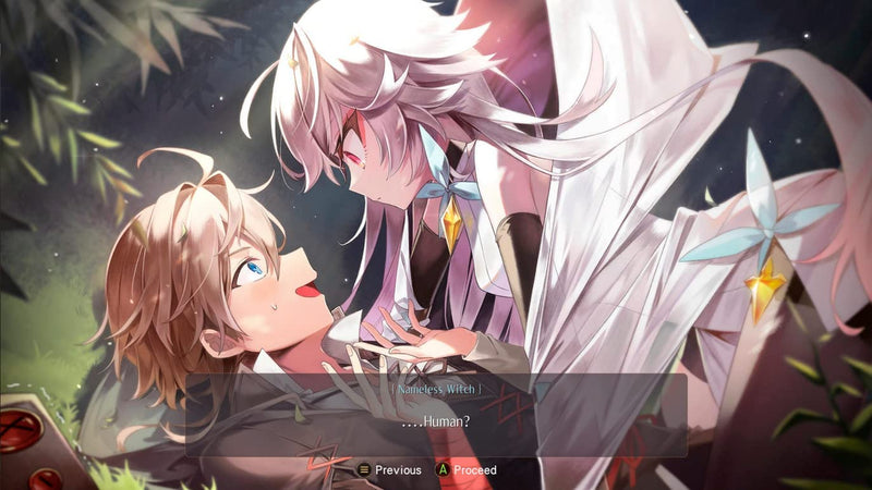 WitchSpring3 Re:Fine - The Story of Eirudy - Collector's Edition [Nintendo Switch] Nintendo Switch Video Game ININ Games   